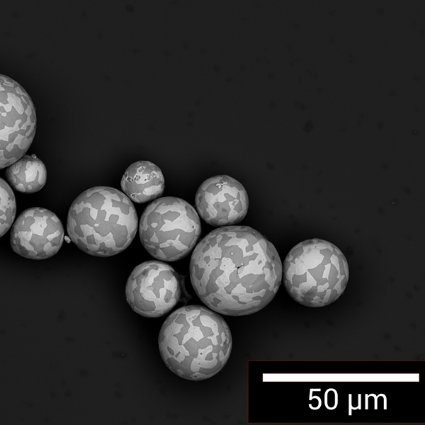 Hệ thống chụp cắt lớp TESCAN FIB-SEM Tomography