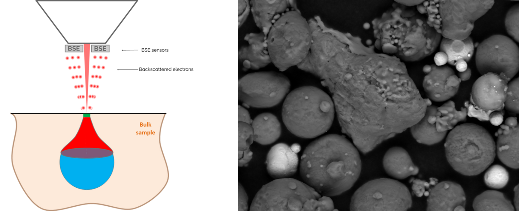 BSE interaction and BSE image