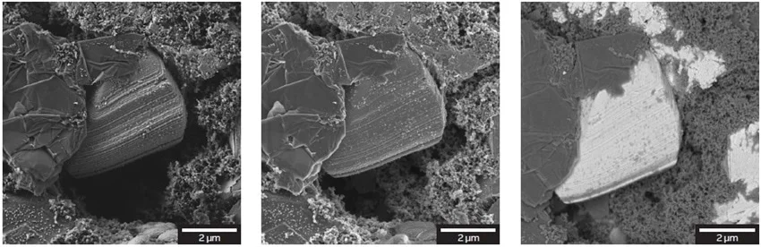 hinh 2 cuc duong li dau do ET SE BSE
