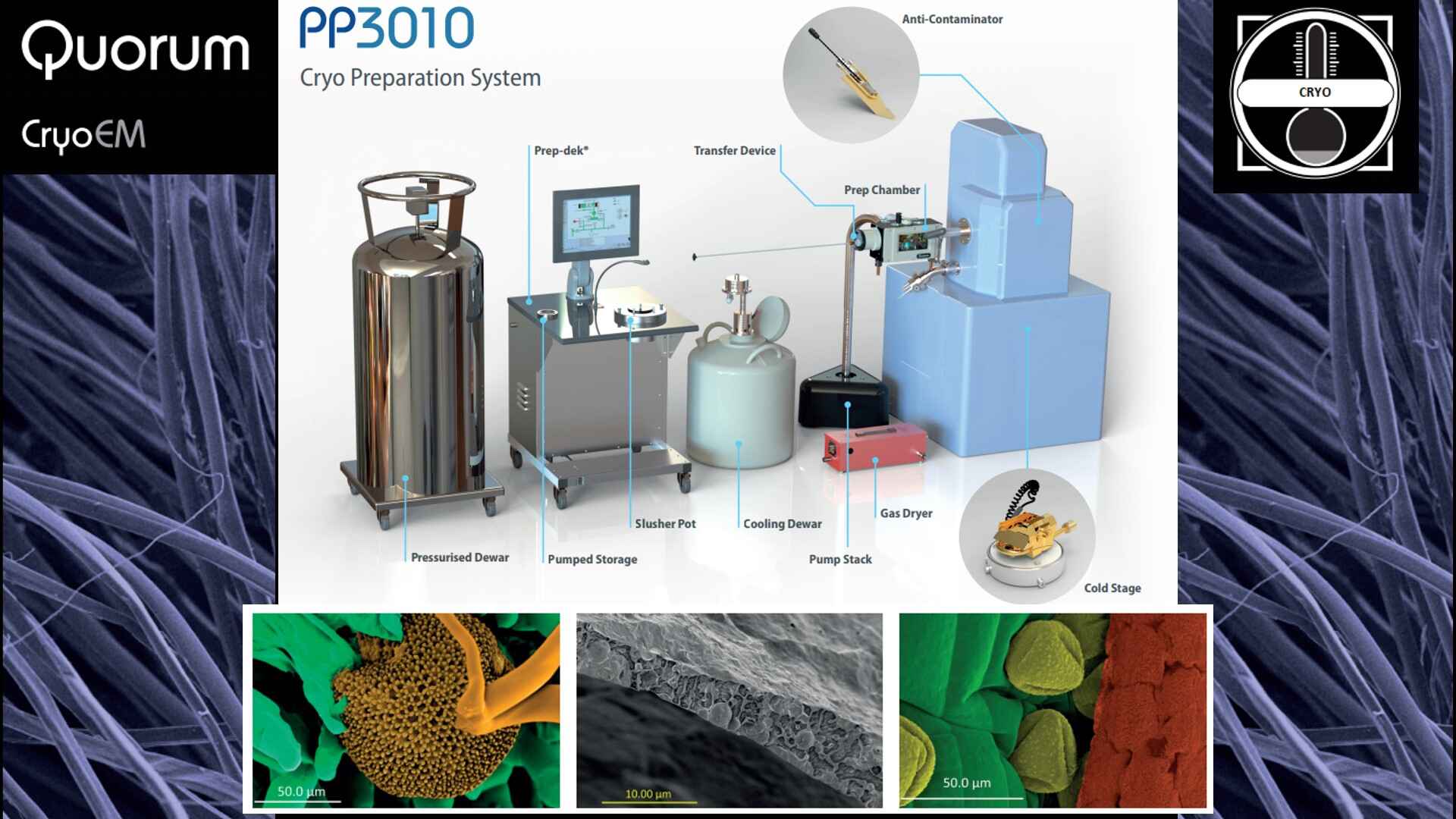 Hệ thống chuẩn bị mẫu Cryo-SEM Quorum PP3010: Phân tích toàn diện về công nghệ, vận hành và ứng dụng trong…