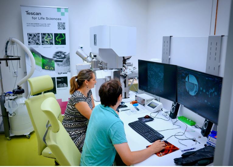 Phỏng vấn | “Phần khó nhất là tìm đúng vị trí trên mẫu.” FIB-SEM mở rộng quy trình cryo-FIB trong lĩnh…