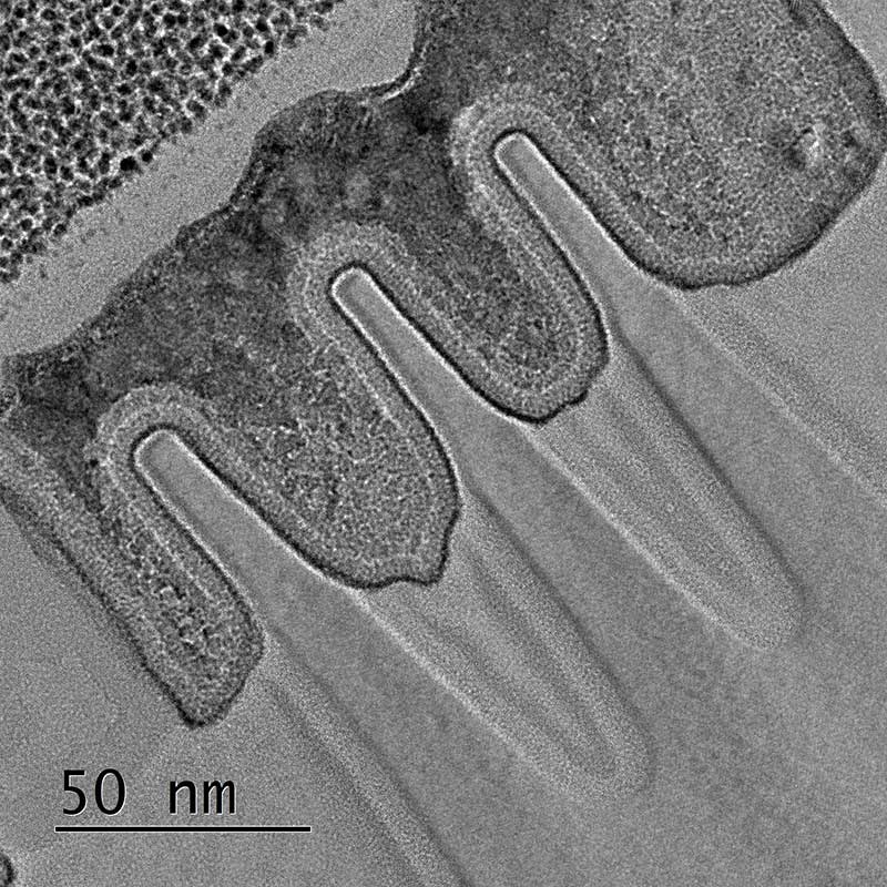TEM image of a fin cut lamella prepared from a 14 nm chip by means top down thinning TEM image of a fin cut lamella prepared from a 14 nm chip by means top down thinning