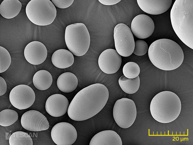 Wheat starch particles Wheat starch particles