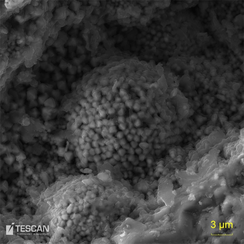 Pyrite framboid on the crack of coal seam Pyrite framboid on the crack of coal seam