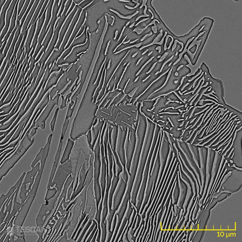 White cast iron Metallographic sample etched White cast iron Metallographic sample etched (chụp bằng Kính hiển vi điện tử quét SEM TESCAN)