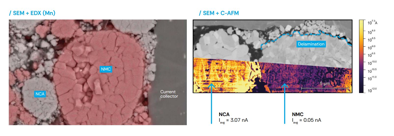 app photo afm in sem battery